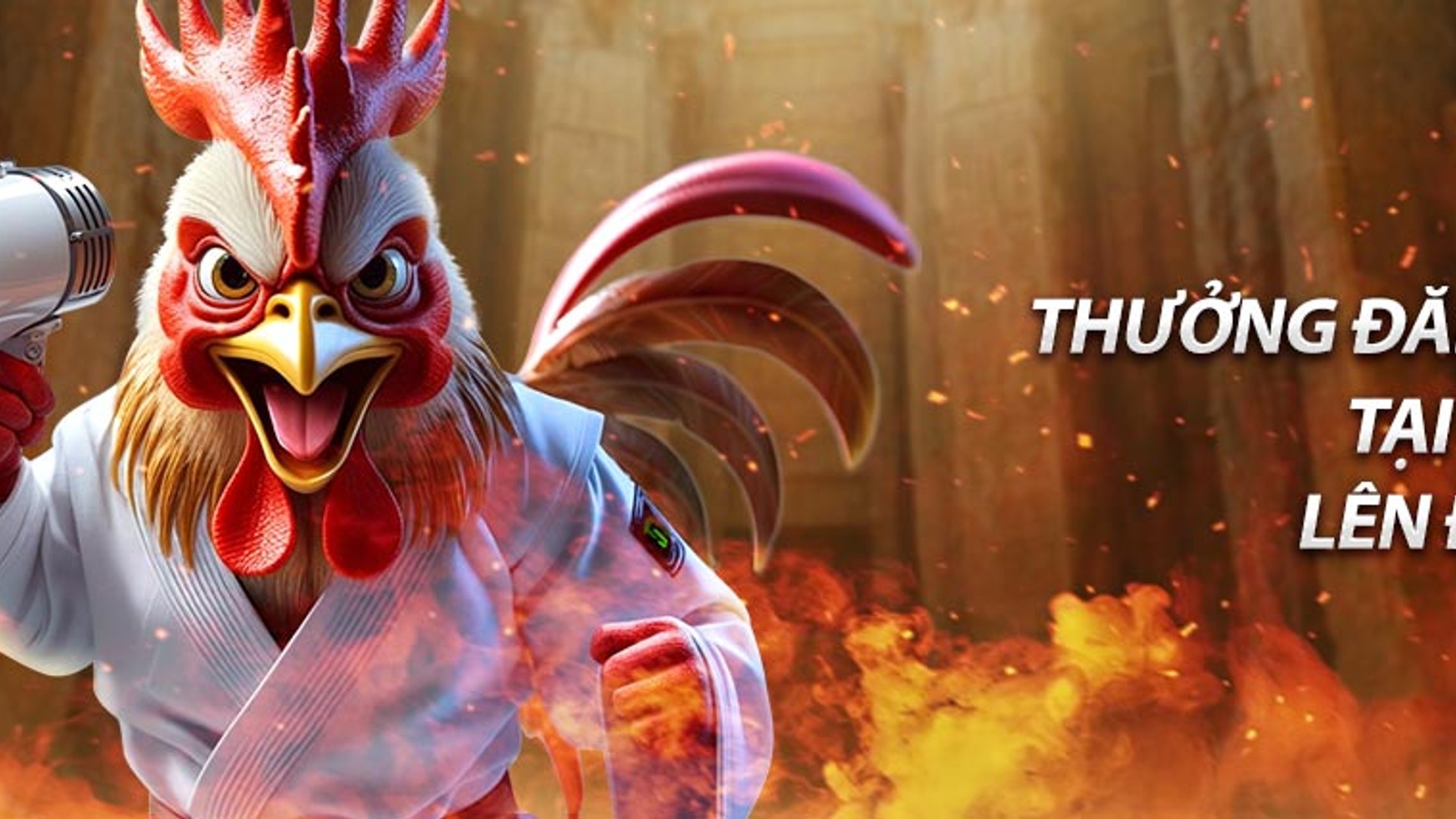 Hình ảnh tổng quan về các ưu đãi độc quyền tại Zbet tôi