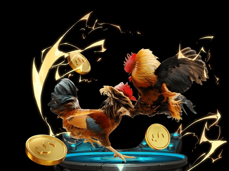 Công cụ marketing cho đối tác Zbet tôi